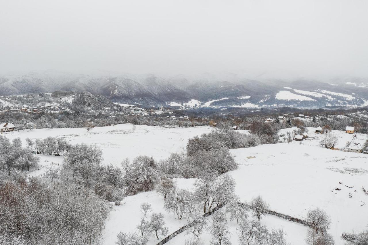 Vila Casa Cu Cerdac Nucşoara Exteriér fotografie