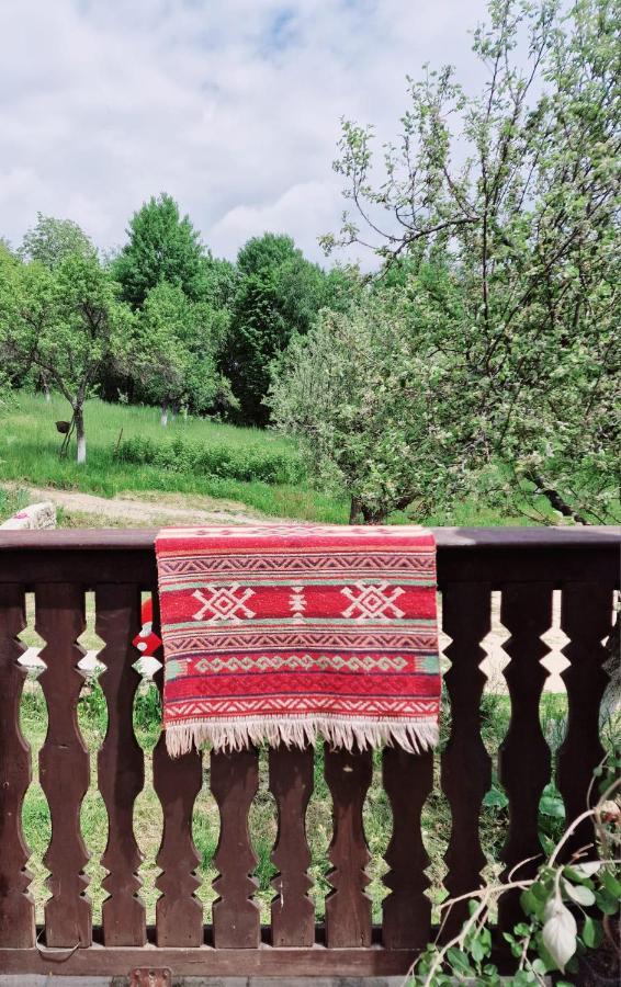 Vila Casa Cu Cerdac Nucşoara Exteriér fotografie